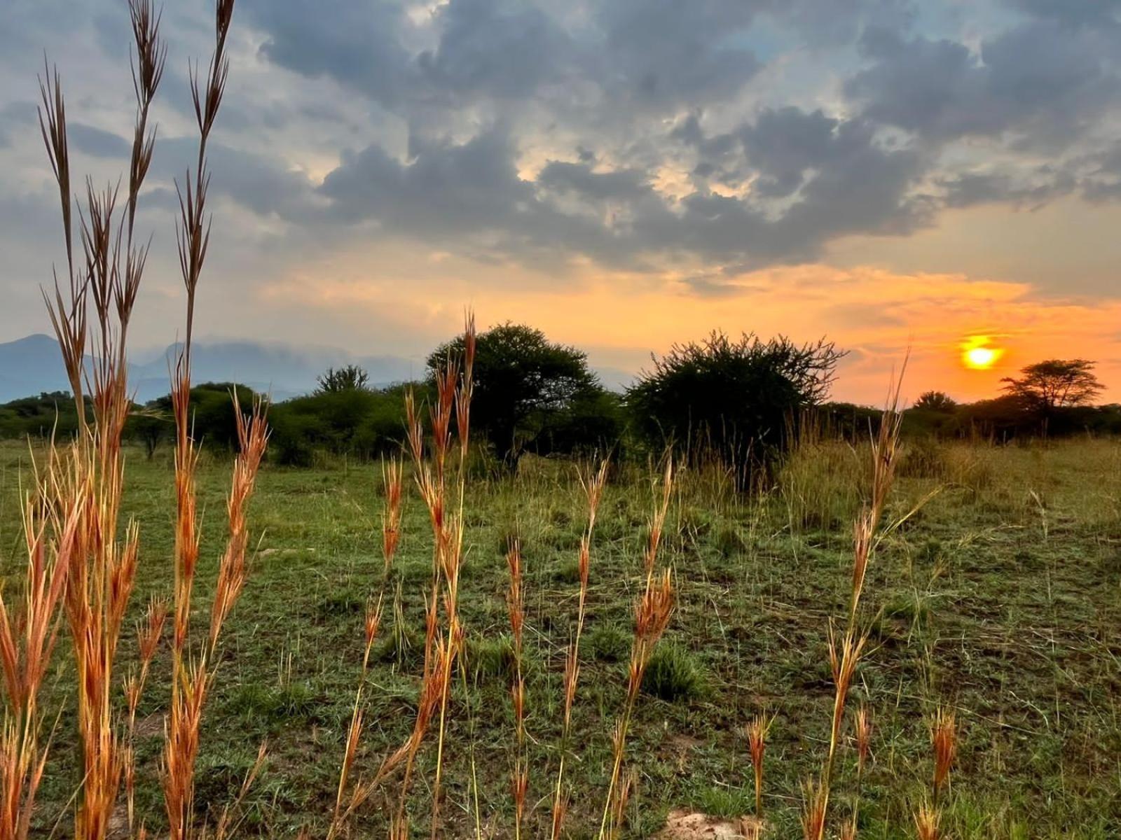 Thabazimbi Bushveld Self Catering Accommodation Kültér fotó